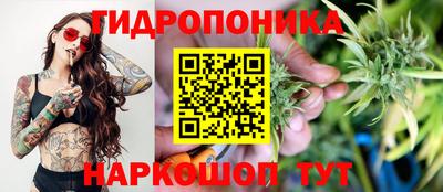 герыч Кингисепп