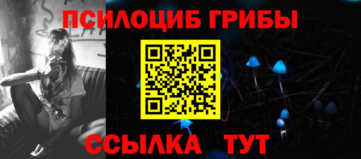 Псилоцибиновые грибы Psilocybine cubensis Чебоксары